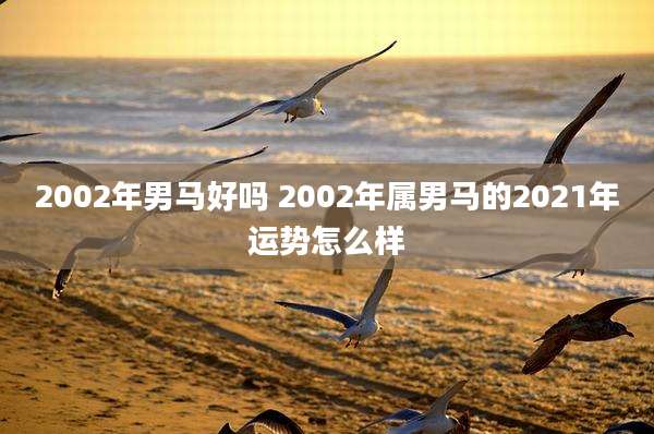 2002年男马好吗 2002年属男马的2021年运势怎么样