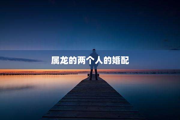 属龙的两个人的婚配