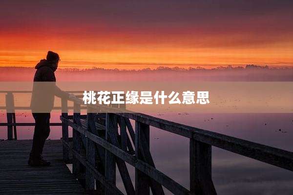 桃花正缘是什么意思
