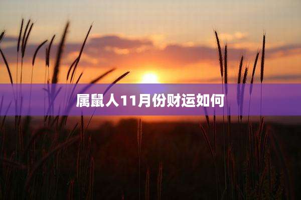 属鼠人11月份财运如何