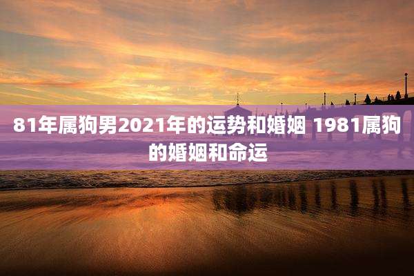 81年属狗男2021年的运势和婚姻 1981属狗的婚姻和命运