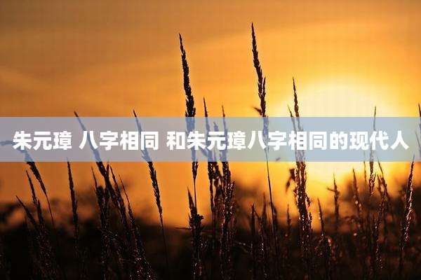 朱元璋 八字相同 和朱元璋八字相同的现代人