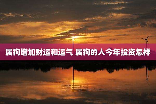 属狗增加财运和运气 属狗的人今年投资怎样