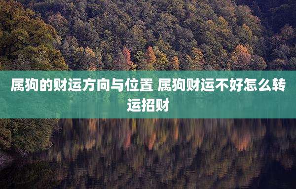 属狗的财运方向与位置 属狗财运不好怎么转运招财