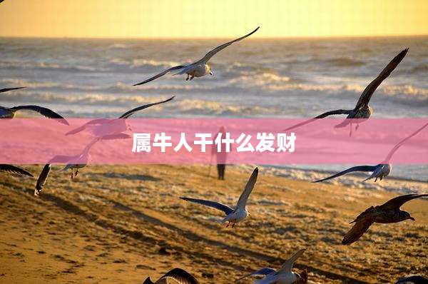 属牛人干什么发财