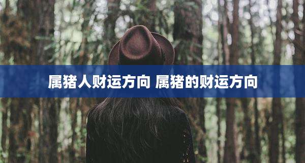 属猪人财运方向 属猪的财运方向