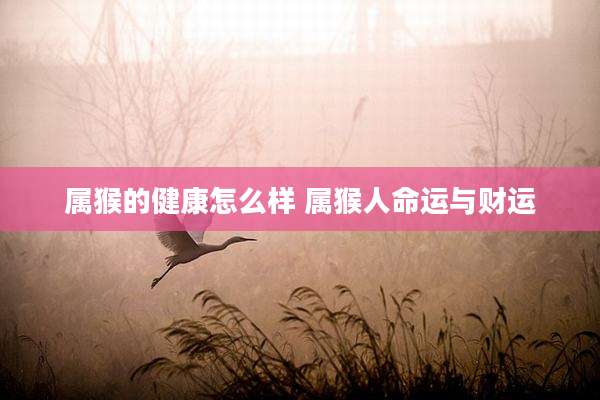 属猴的健康怎么样 属猴人命运与财运