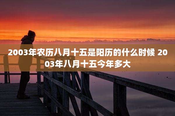 2003年农历八月十五是阳历的什么时候 2003年八月十五今年多大