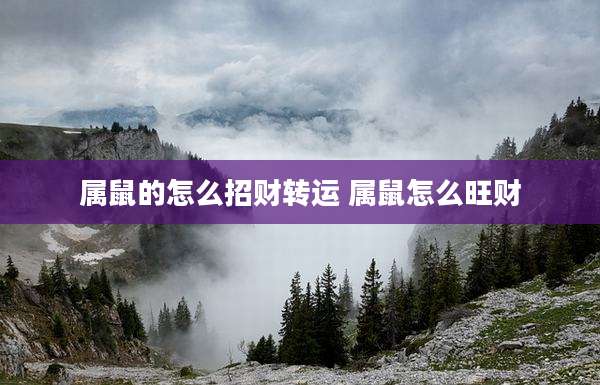 属鼠的怎么招财转运 属鼠怎么旺财