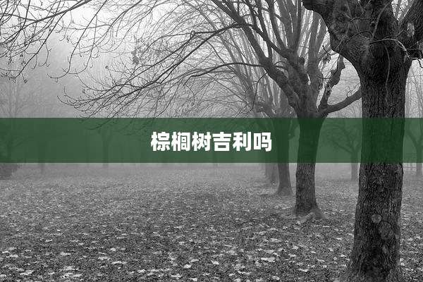 棕榈树吉利吗