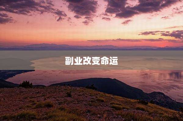 副业改变命运