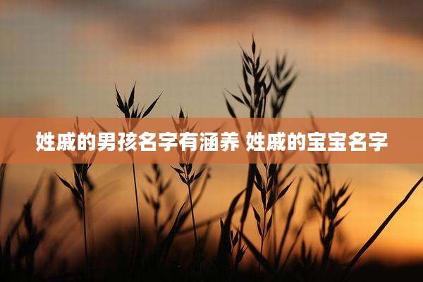 姓戚的男孩名字有涵养 姓戚的宝宝名字