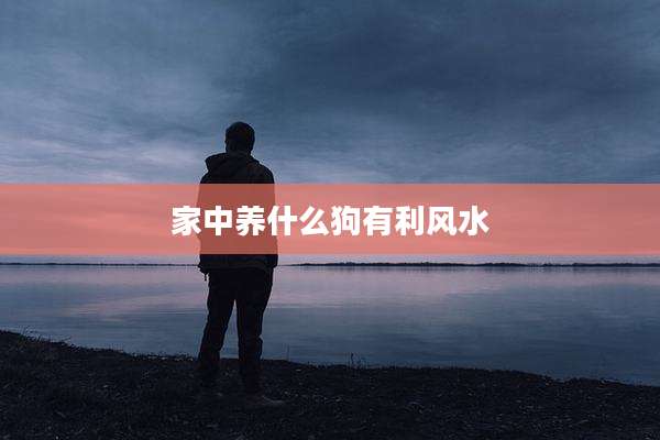 家中养什么狗有利风水