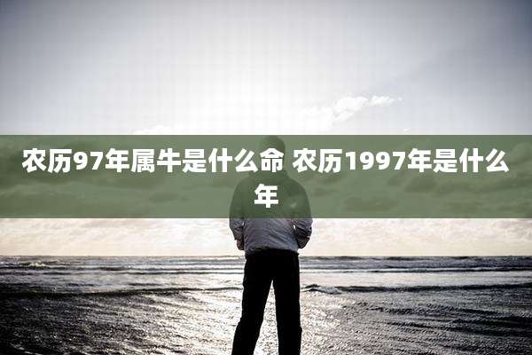农历97年属牛是什么命 农历1997年是什么年