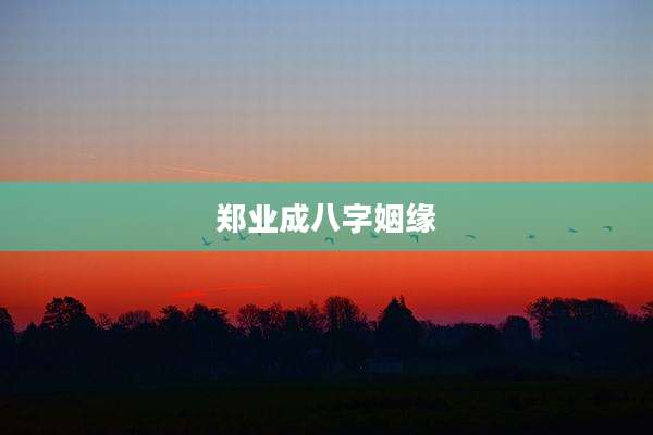 郑业成八字姻缘