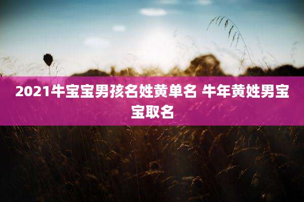 2021牛宝宝男孩名姓黄单名 牛年黄姓男宝宝取名