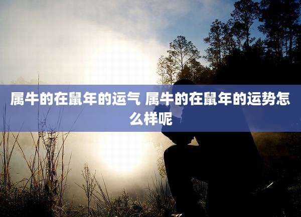 属牛的在鼠年的运气 属牛的在鼠年的运势怎么样呢