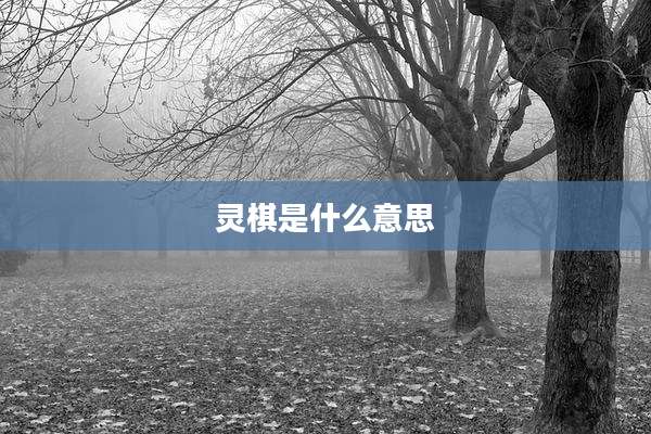 灵棋是什么意思