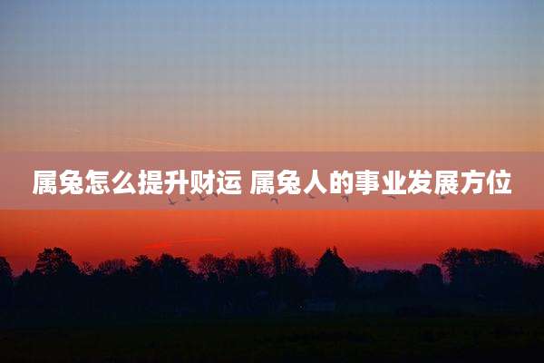 属兔怎么提升财运 属兔人的事业发展方位
