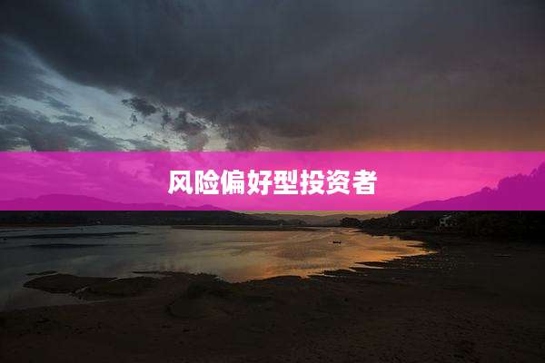 风险偏好型投资者