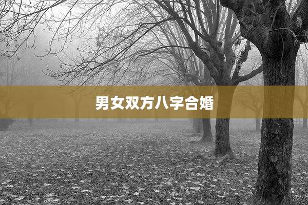 男女双方八字合婚