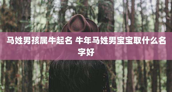 马姓男孩属牛起名 牛年马姓男宝宝取什么名字好