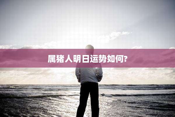 属猪人明日运势如何?