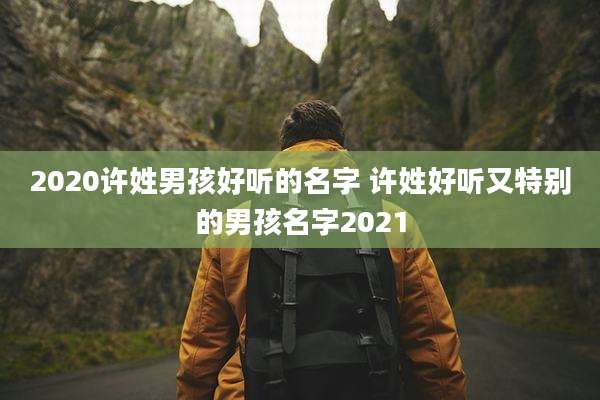 2020许姓男孩好听的名字 许姓好听又特别的男孩名字2021