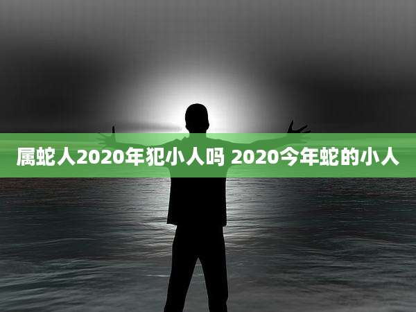 属蛇人2020年犯小人吗 2020今年蛇的小人