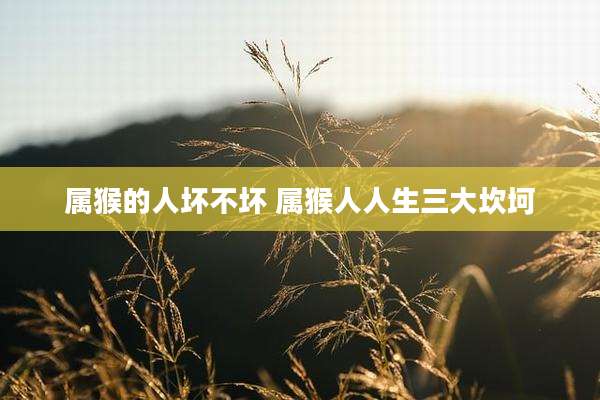 属猴的人坏不坏 属猴人人生三大坎坷