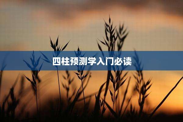 四柱预测学入门必读