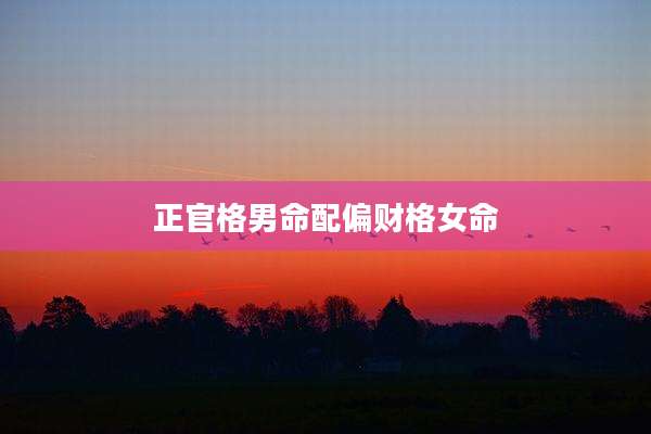 正官格男命配偏财格女命