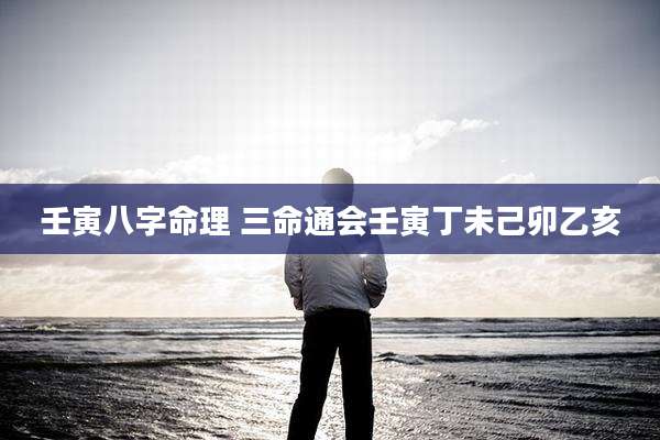 壬寅八字命理 三命通会壬寅丁未己卯乙亥