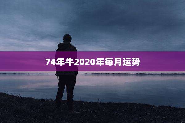 74年牛2020年每月运势
