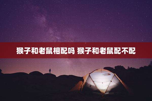 猴子和老鼠相配吗 猴子和老鼠配不配