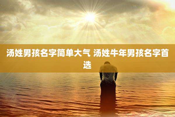 汤姓男孩名字简单大气 汤姓牛年男孩名字首选