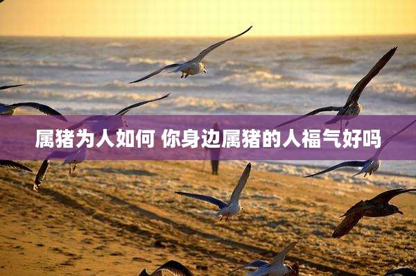 属猪为人如何 你身边属猪的人福气好吗