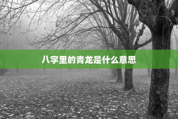 八字里的青龙是什么意思