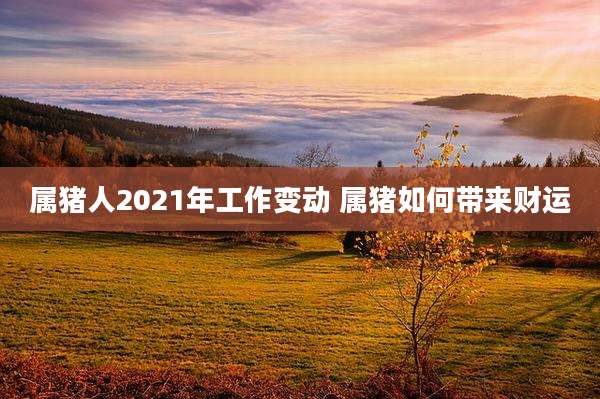 属猪人2021年工作变动 属猪如何带来财运