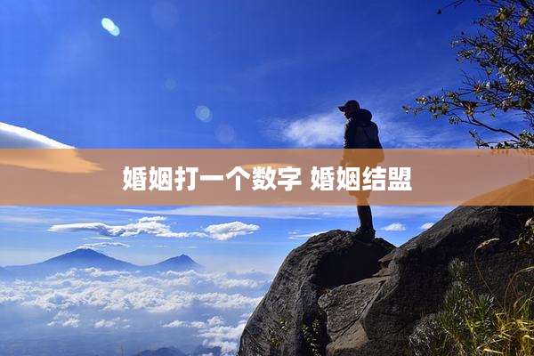 婚姻打一个数字 婚姻结盟