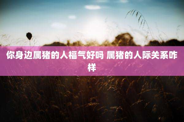你身边属猪的人福气好吗 属猪的人际关系咋样
