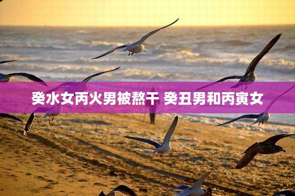 癸水女丙火男被熬干 癸丑男和丙寅女
