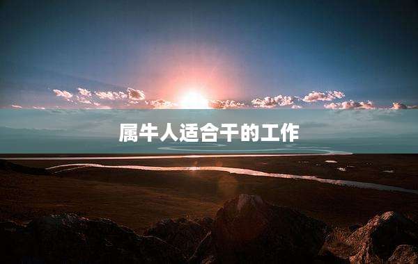 属牛人适合干的工作