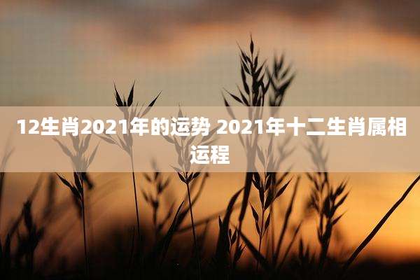 12生肖2021年的运势 2021年十二生肖属相运程