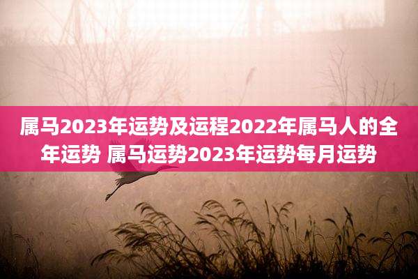 属马2023年运势及运程2022年属马人的全年运势 属马运势2023年运势每月运势