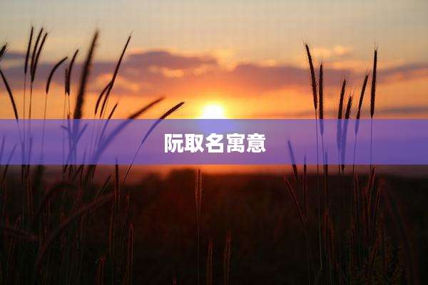阮取名寓意