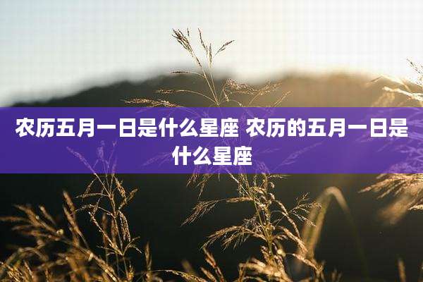农历五月一日是什么星座 农历的五月一日是什么星座