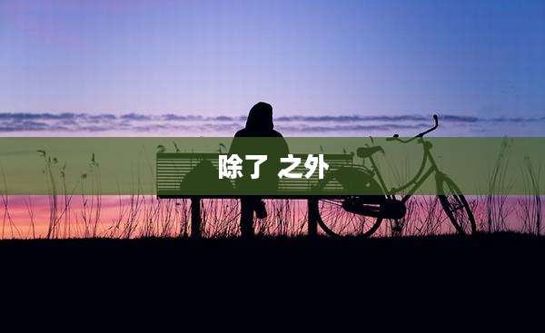 除了 之外
