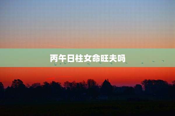丙午日柱女命旺夫吗
