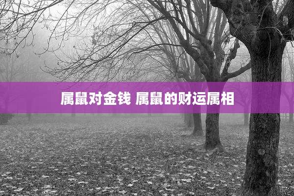 属鼠对金钱 属鼠的财运属相